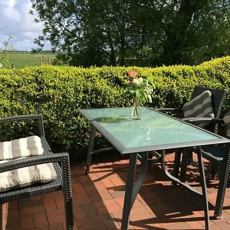 F1 Milking Parlor Comfortable *